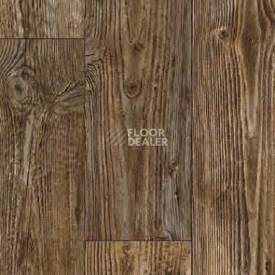 Линолеум Juteks Voyage AUSTRALIAN PINE 3 фото 1 | FLOORDEALER